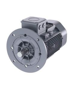 Sch&auml;fer-DS-Motor High Efficiency IE3