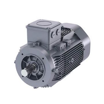 Schäfer-DS-Motor High Efficiency IE3