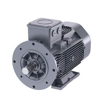 Schäfer-DS-Motor High Efficiency IE3
