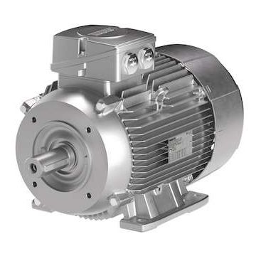 Innomotics DS-Motor