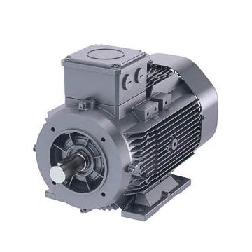 Schäfer-DS-Motor High Efficiency IE3