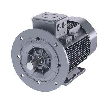 Innomotics DS-Motor