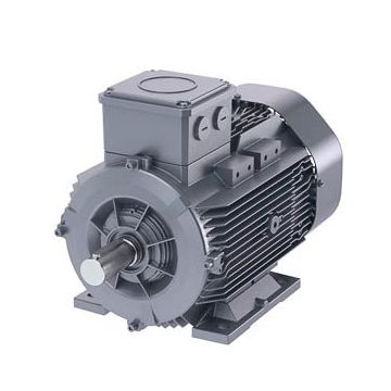 Schäfer-DS-Motor High Efficiency IE3