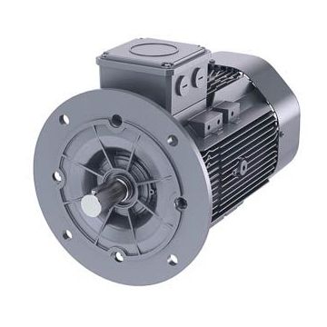 Schäfer-DS-Motor High Efficiency IE3