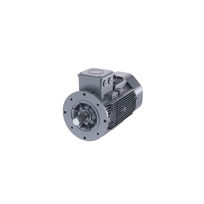 Schäfer-DS-Motor High Efficiency IE3