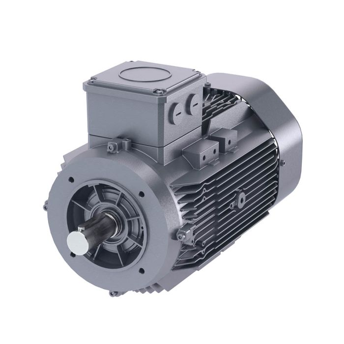 Siemens DS-Motor