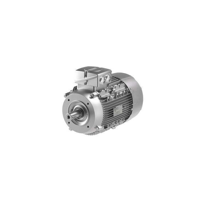 Innomotics DS-Motor