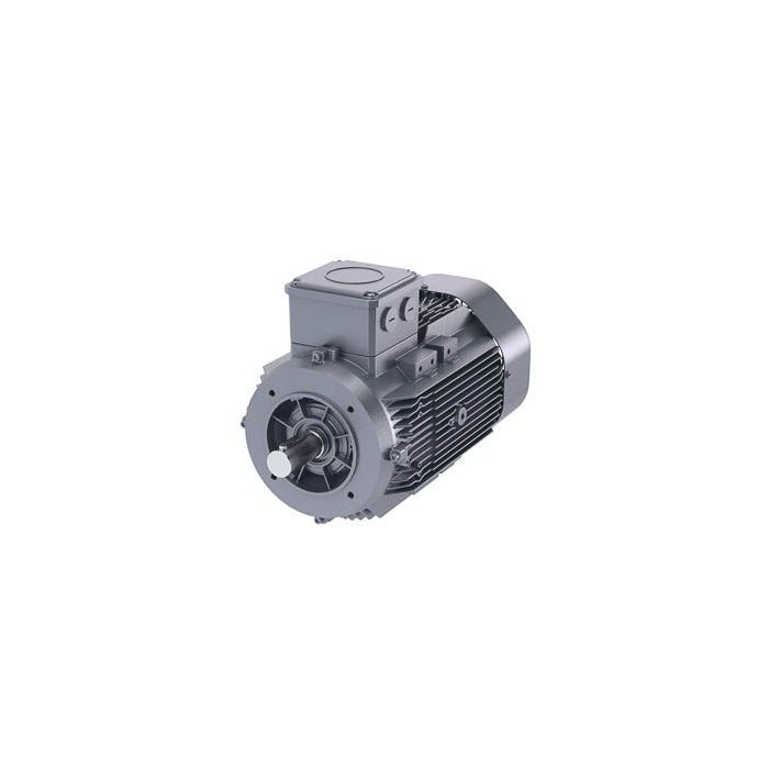 Schäfer-DS-Motor High Efficiency IE3