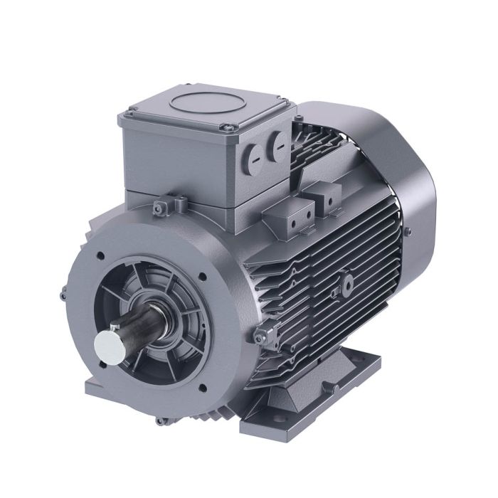 Siemens DS-Motor