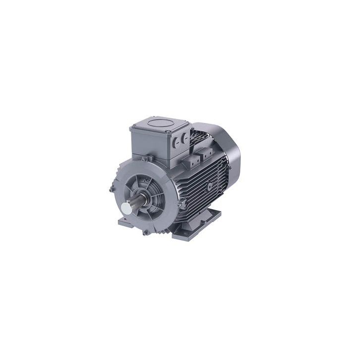 Schäfer-DS-Motor High Efficiency IE3