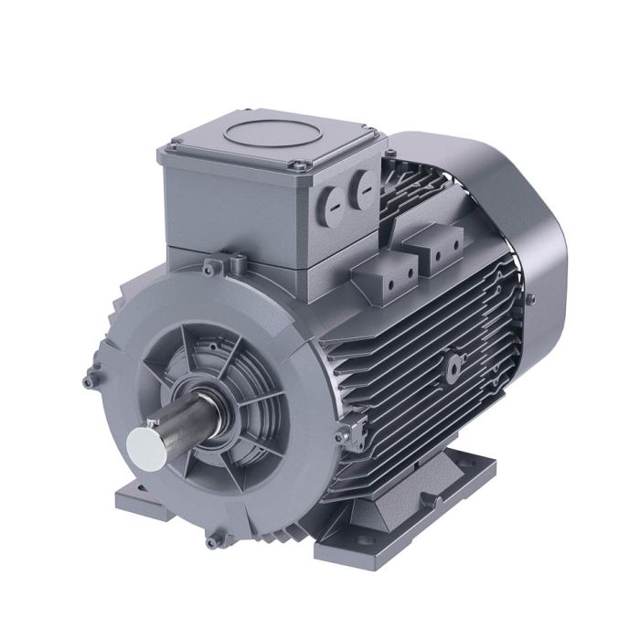 Siemens DS-Motor