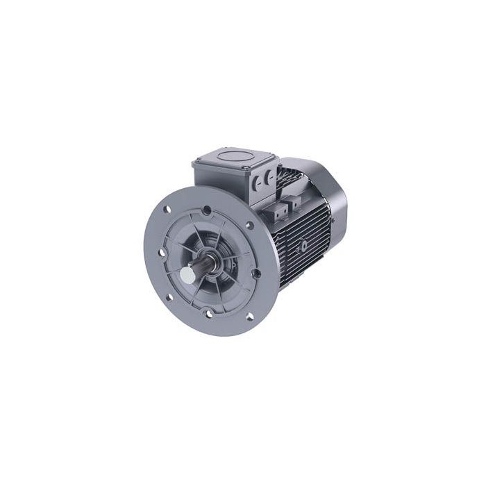 Schäfer-DS-Motor High Efficiency IE3